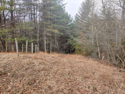 Farm for Sale in Willis VA - image 15