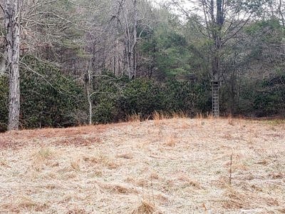 Farm for Sale in Willis VA - image 19