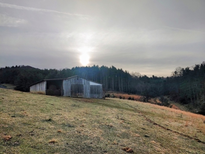 Farm for Sale in Willis VA - image 13