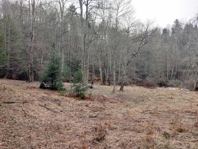 Farm for Sale in Willis VA - image 24