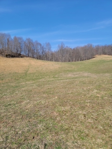 40 Acres Unrestricted Land in East TN For Sale - image 8