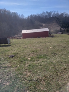 40 Acres Unrestricted Land in East TN For Sale - image 6