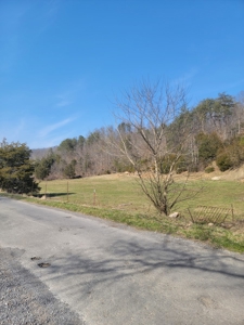 40 Acres Unrestricted Land in East TN For Sale - image 2