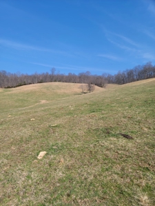 40 Acres Unrestricted Land in East TN For Sale - image 9