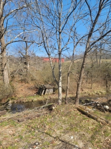 40 Acres Unrestricted Land in East TN For Sale - image 4