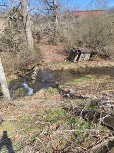 40 Acres Unrestricted Land in East TN For Sale - image 5