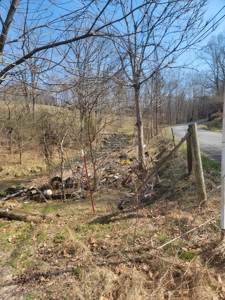 40 Acres Unrestricted Land in East TN For Sale - image 3