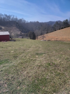 40 Acres Unrestricted Land in East TN For Sale - image 7