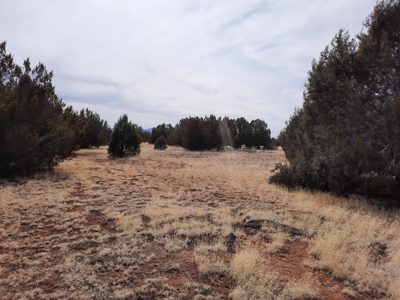 Beautiful Property - image 11
