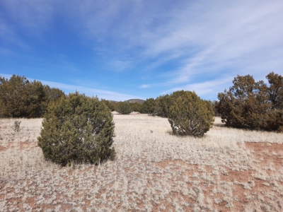 Beautiful Property - image 10