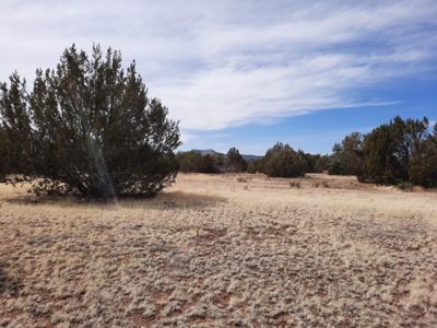 Beautiful Property - image 8