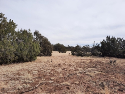 Beautiful Property - image 6