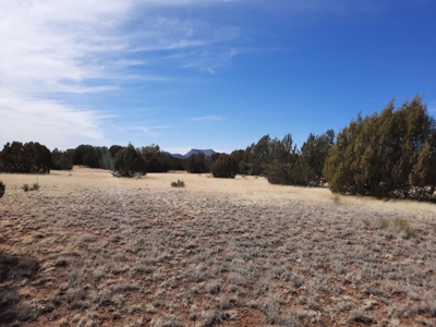 Beautiful Property - image 13