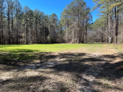 Hunting Land in Crenshaw County - image 26