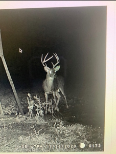 Hunting Land in Crenshaw County - image 46
