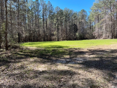 Hunting Land in Crenshaw County - image 27