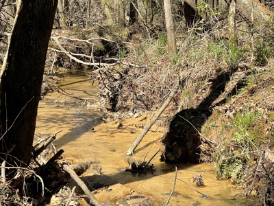 Hunting Land in Crenshaw County - image 31