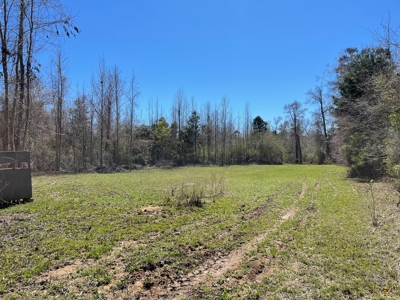 Hunting Land in Crenshaw County - image 5