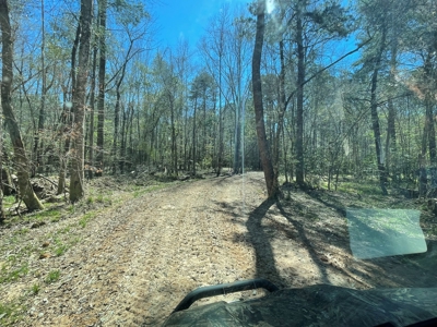 Hunting Land in Crenshaw County - image 30