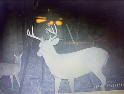 Hunting Land in Crenshaw County - image 45