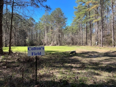 Hunting Land in Crenshaw County - image 25