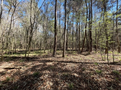 Hunting Land in Crenshaw County - image 32