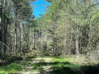 Hunting Land in Crenshaw County - image 24