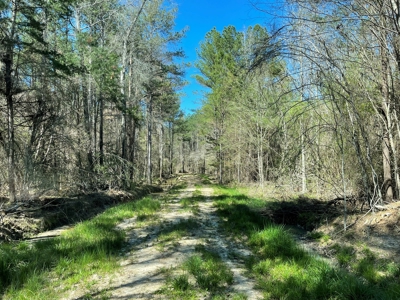 Hunting Land in Crenshaw County - image 23
