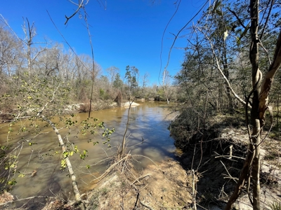 Hunting Land in Crenshaw County - image 8