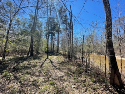 Hunting Land in Crenshaw County - image 2