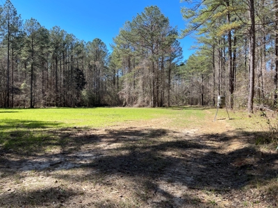 Hunting Land in Crenshaw County - image 28