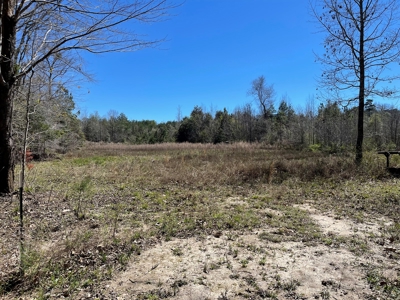 Hunting Land in Crenshaw County - image 12