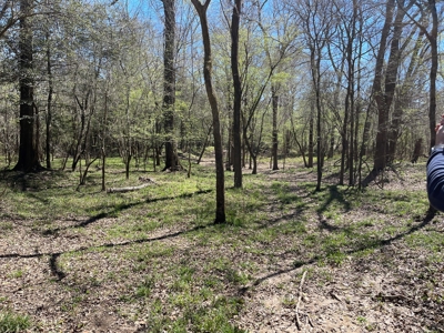 Hunting Land in Crenshaw County - image 10