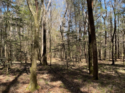 Hunting Land in Crenshaw County - image 36