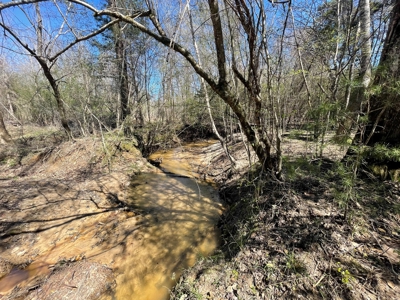 Hunting Land in Crenshaw County - image 14