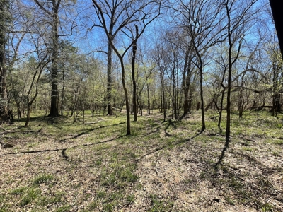Hunting Land in Crenshaw County - image 9