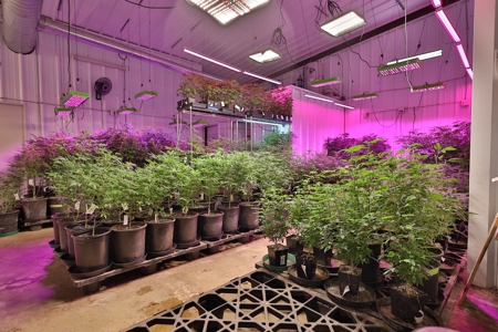 Oklahoma Cannabis Business For Sale - image 3