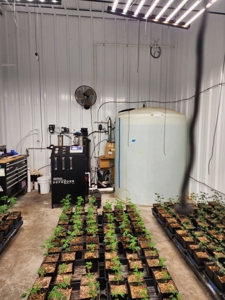 Oklahoma Cannabis Business For Sale - image 35