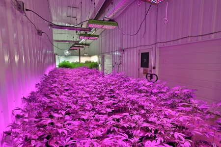 Oklahoma Cannabis Business For Sale - image 5