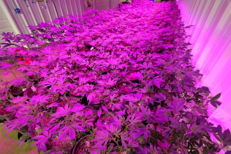 Oklahoma Cannabis Business For Sale - image 7