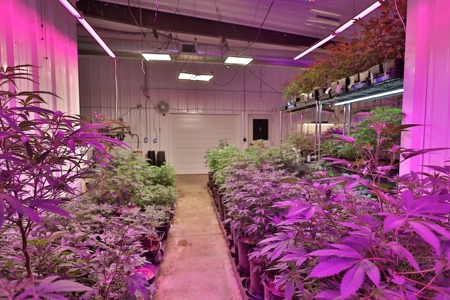 Oklahoma Cannabis Business For Sale - image 4