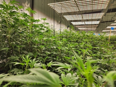 Oklahoma Cannabis Business For Sale - image 34