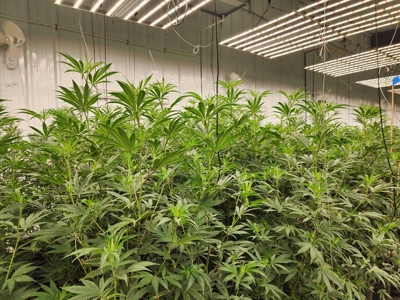 Oklahoma Cannabis Business For Sale - image 33
