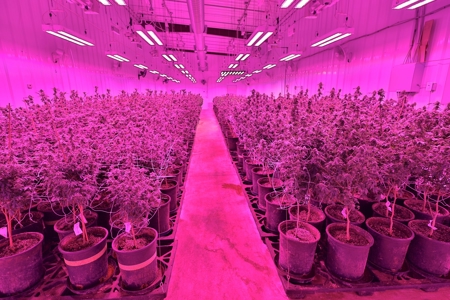 Oklahoma Cannabis Business For Sale - image 8