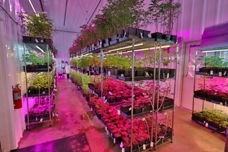 Oklahoma Cannabis Business For Sale - image 10