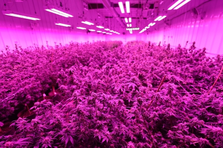 Oklahoma Cannabis Business For Sale - image 15