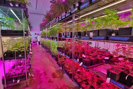 Oklahoma Cannabis Business For Sale - image 11