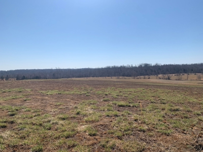 Cattle Ranch and Two Homes Live Water on Acreage in Arkansas - image 42