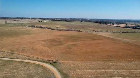 Cattle Ranch and Two Homes Live Water on Acreage in Arkansas - image 10