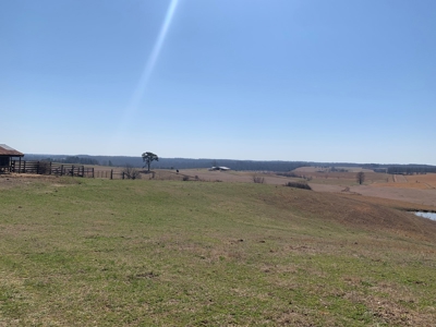 Cattle Ranch and Two Homes Live Water on Acreage in Arkansas - image 31